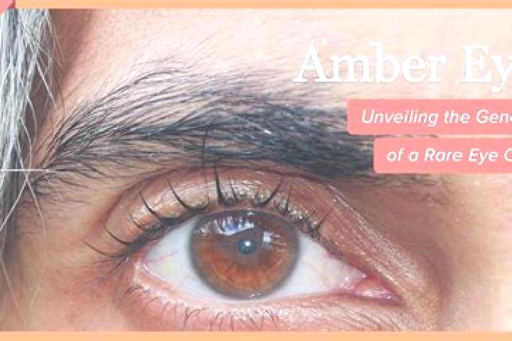 Ava, 26, a black amber-eyed middle eastern companion based in Lizoain. Offering Erotic Massage, Prostate Massage. Available for incall and outcall, day and e...