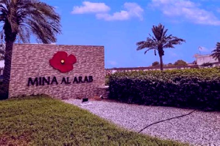 Ava, 26 — Escort in Al Jarushiyah, Palestine
