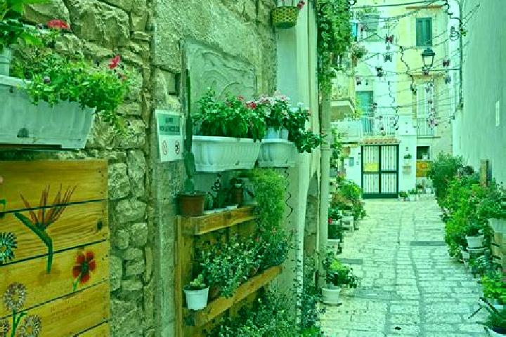 Ava, 26 — Escort in Bitonto, Italy