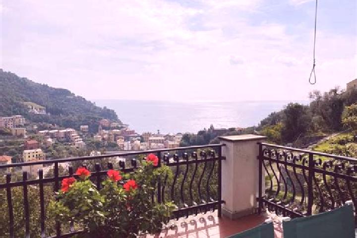 Ava, 26 — Escort in Bonassola, Italy