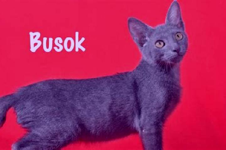 Ava, 26 — Escort in Busok, Philippines