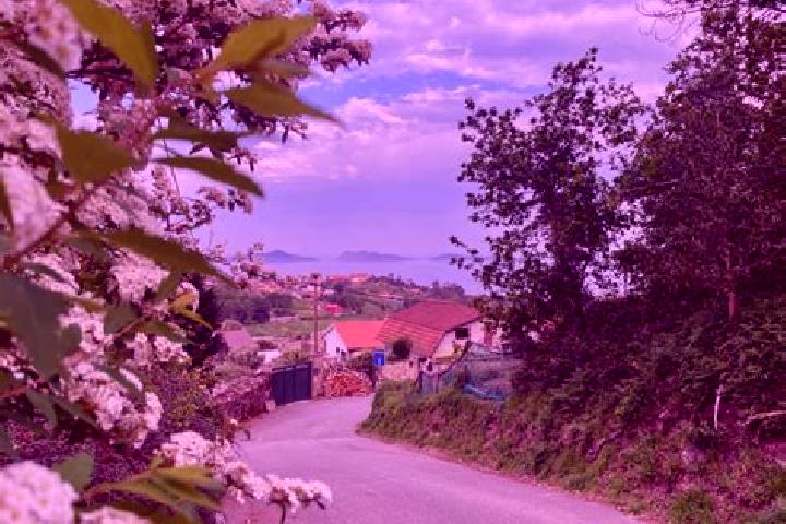 Ava, 26 — Escort in Espinosa del Camino, Spain