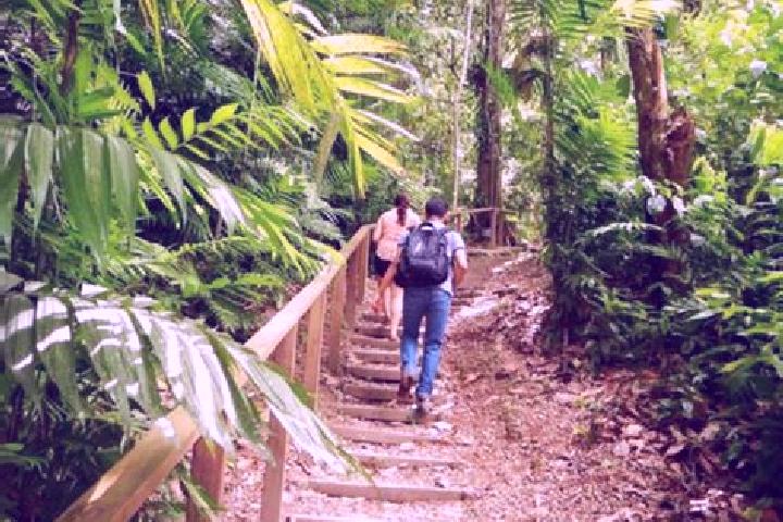 Ava, 26 — Escort in Meambar, Honduras