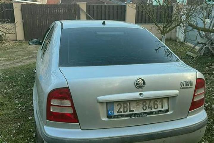 Ava, 26 — Escort in Medlov, Czech Republic