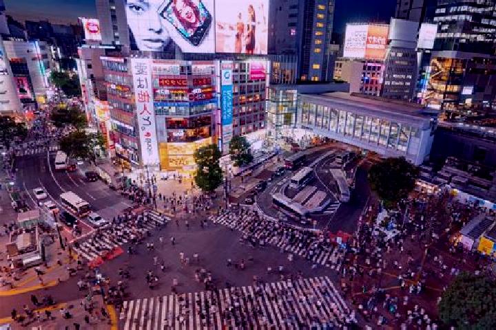 Ava, 26 — Escort in Shibuya, Japan