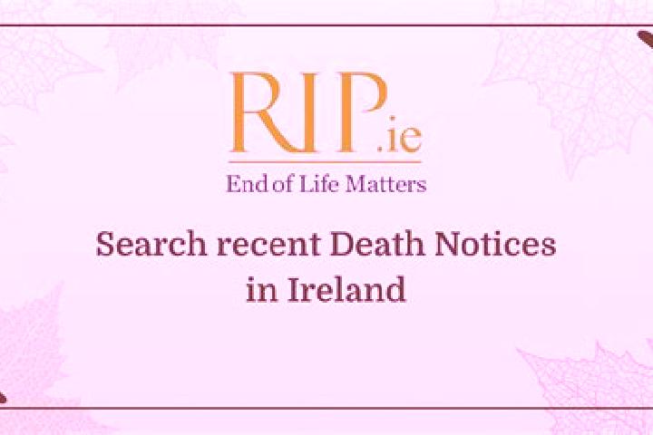 Ava, 26 — Escort in Taghmon, Ireland