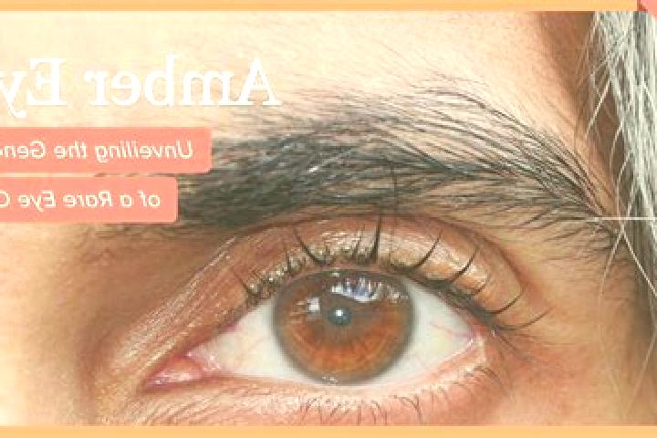 Ava, 27, a red amber-eyed european companion based in Brandivy. Offering Travel Companion, GFE, Roleplay. Available for incall and outcall, day and evening d...