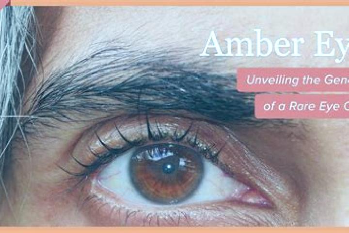 Ava, 27, a red amber-eyed middle eastern companion based in Raby. Offering 69, A-Level. Available for incall and outcall, overnight bookings available.