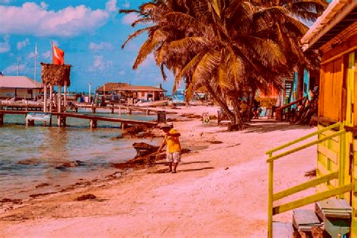 Ava, 27 — Escort in Bladen, Belize