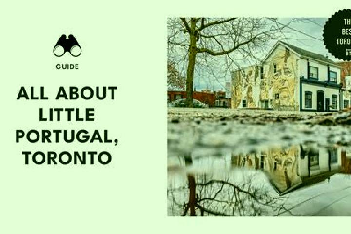 Ava, 27 — Escort in Little Portugal, Canada