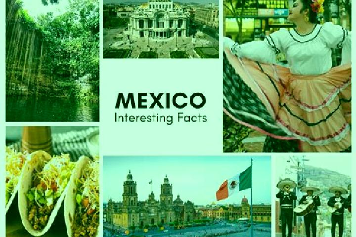 Ava, 27 — Escort in Ramon Grande, Mexico