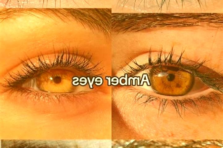 Ava, 28, a chestnut amber-eyed indian companion based in Bodenham. Offering Dinner Date, Massage, Couples, Erotic Massage. Available for incall and outcall, ...