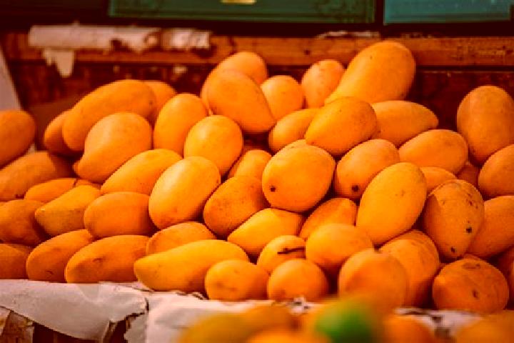 Ava, 28 — Escort in Los Mangos, Mexico