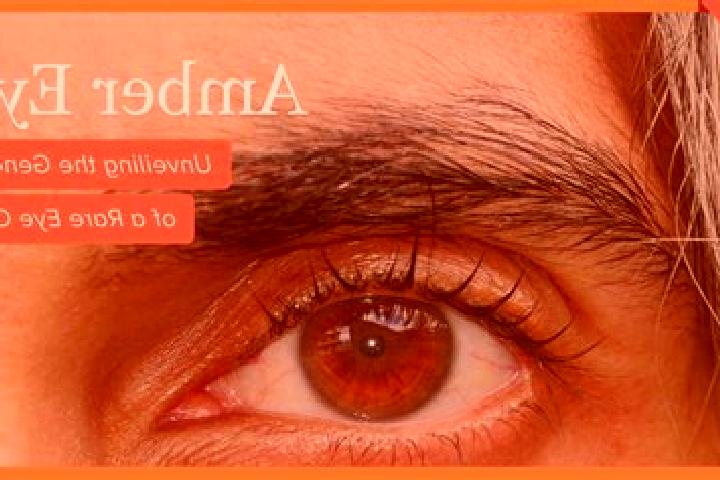 Ava, 29, a black amber-eyed caucasian companion based in Saint-Antoine. Offering Party Girl, BDSM, CIM, 69, Prostate Massage. Available for incall and outcal...