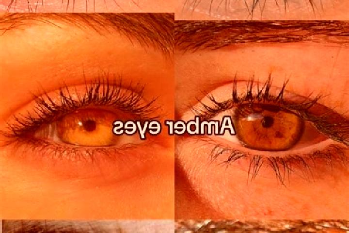 Ava, 29, a chestnut amber-eyed latina companion based in Obervogau. Offering Massage, 69, Travel Companion. Available for incall and outcall, overnight booki...