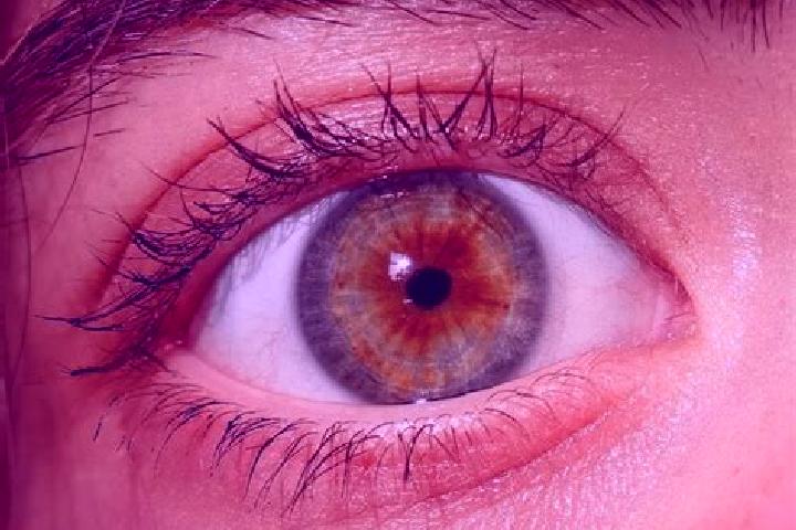 Ava, 29, a red hazel-eyed mediterranean companion based in Toess (Kreis 4) / Steig. Offering Fetish, BDSM, Deep French Kissing. Available for incall and outc...
