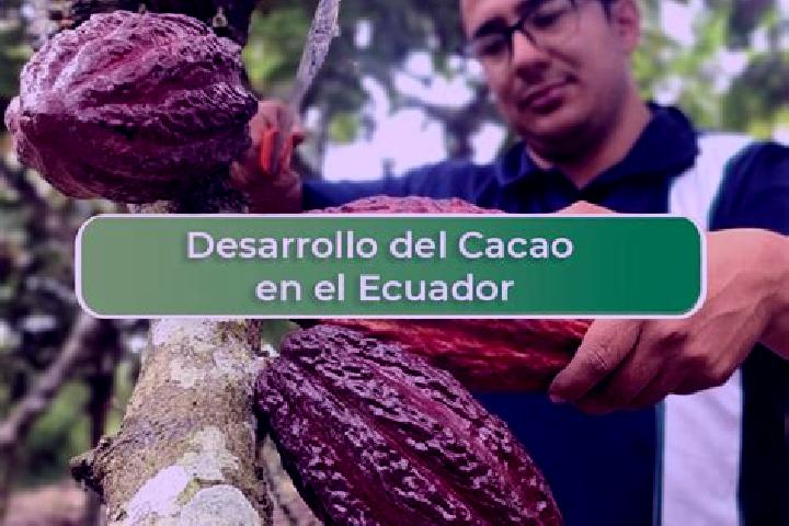 Ava, 29 — Escort in El Cacao, Panama