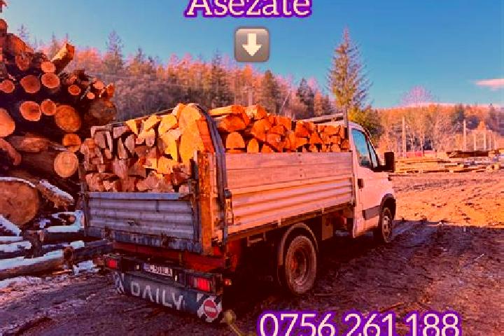 Ava, 29 — Escort in Sacalaz, Romania