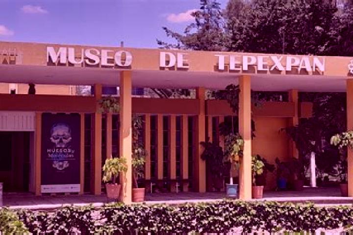 Ava, 29 — Escort in Tepexpan, Mexico