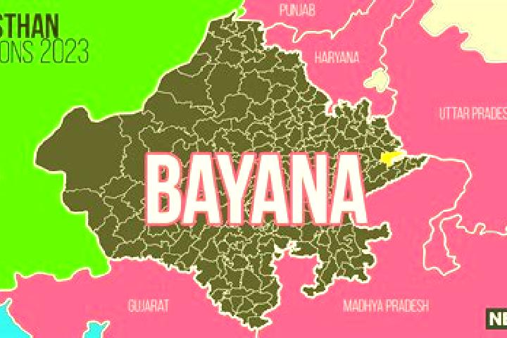 Ava, 30 — Escort in Bayana, India