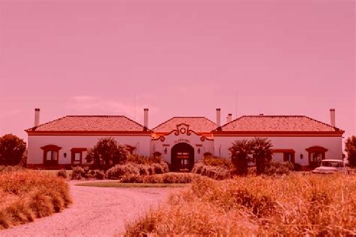 Ava, 30 — Escort in La Estancia de Amezcua, Mexico