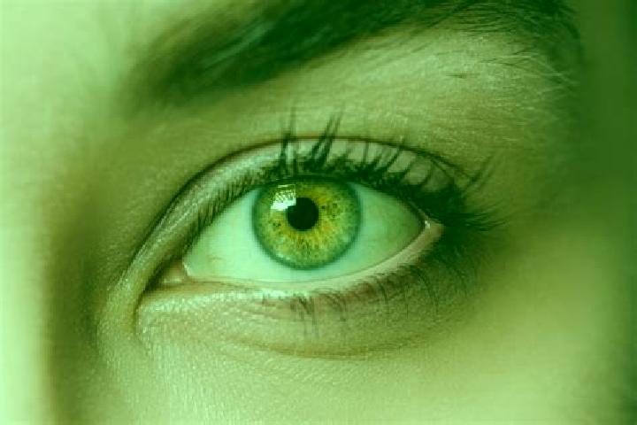 Ava, 31, a chestnut hazel-eyed mixed companion based in Bacina. Offering Overnight, Erotic Massage, GFE. Available for incall and outcall, day and evening da...