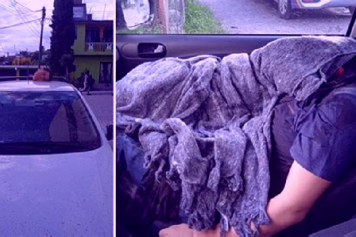 Ava, 31 — Escort in Alcalde Mayor, Mexico