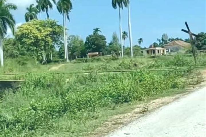 Ava, 31 — Escort in Corralillo, Cuba