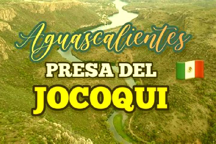 Ava, 31 — Escort in Jocoqui, Mexico