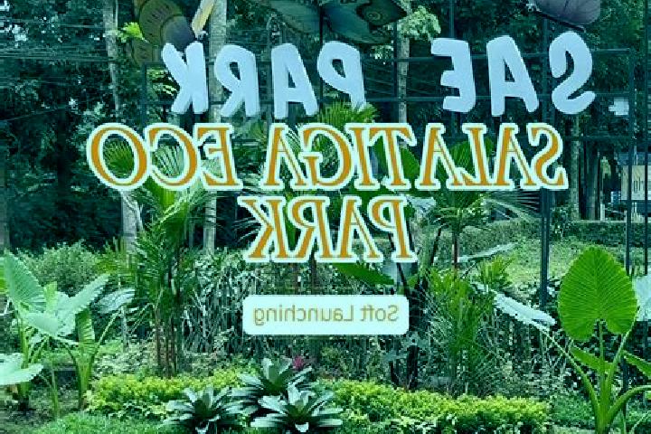 Ava, 31 — Escort in Salatiga, Indonesia