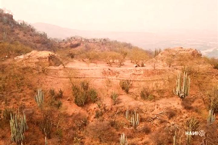 Ava, 31 — Escort in San Juan Quiotepec, Mexico