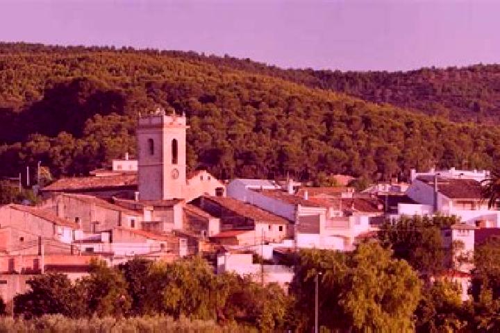 Ava, 32 — Escort in Atzeneta d Albaida, Spain