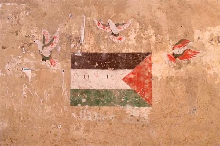 Ava, 32 — Escort in Bani Zayd ash Sharqiyah, Palestine