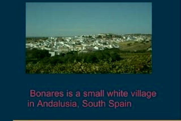 Ava, 32 — Escort in Bonares, Spain