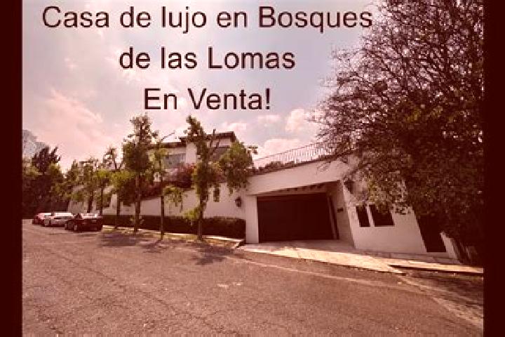 Ava, 32 — Escort in Lomas de Santa Cruz, Mexico