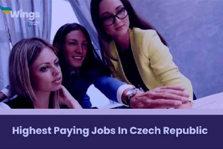 Ava, 32 — Escort in Spesov, Czech Republic