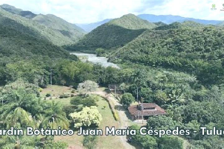 Ava, 32 — Escort in Tulua, Colombia