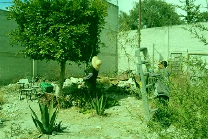 Ava, 32 — Escort in Tuzuapan, Mexico