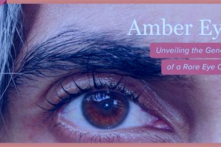 Ava, 33, a red amber-eyed mediterranean companion based in Data Kakus. Offering Travel Companion, OWO, Tantra. Available for incall and outcall, day and even...