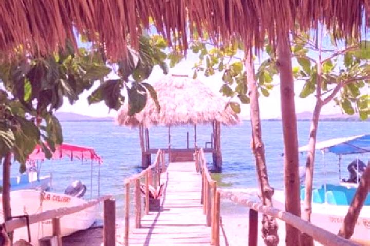 Ava, 33 — Escort in El Zapotalito, Mexico