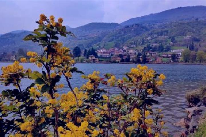 Ava, 33 — Escort in Monasterolo del Castello, Italy