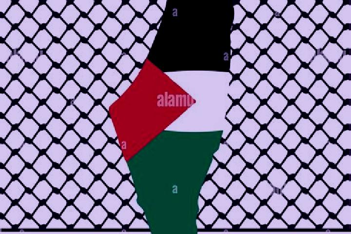Ava, 34 — Escort in Birqin, Palestine