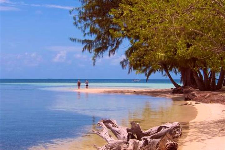 Ava, 34 — Escort in Duck Run 3, Belize