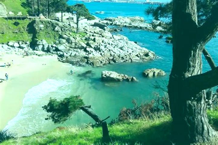 Ava, 34 — Escort in Loncura, Chile