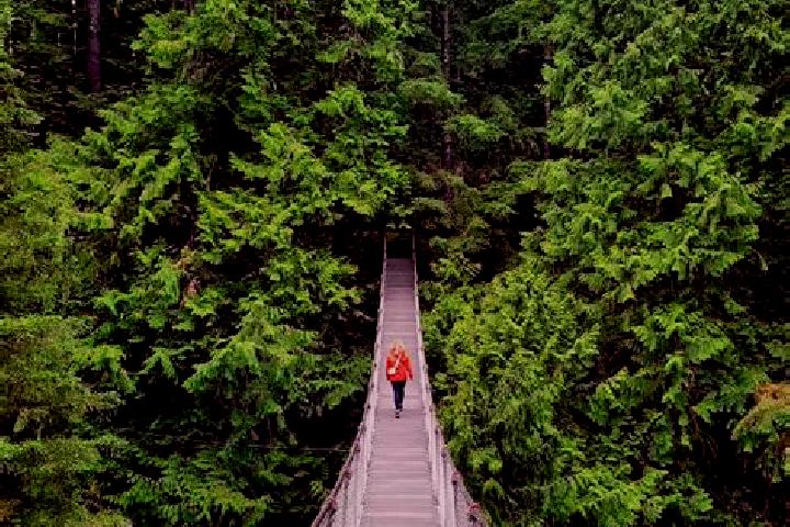 Ava, 34 — Escort in Lynn Canyon, Canada