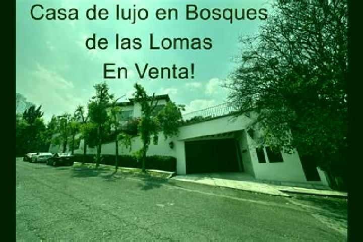 Ava, 34 — Escort in San Jose las Lomas, Mexico