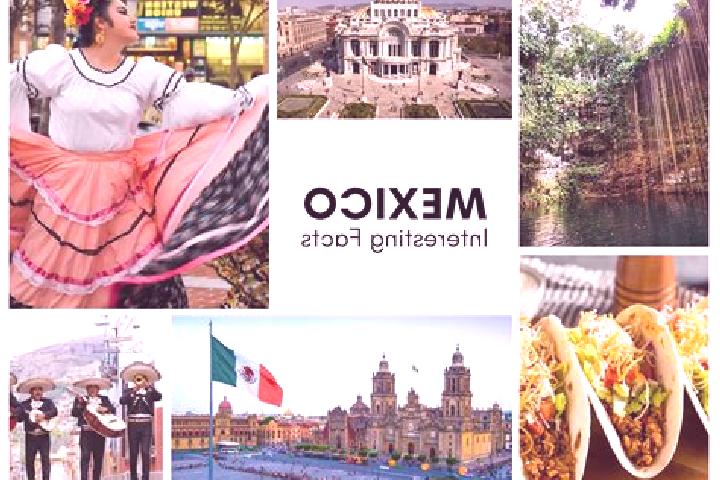 Ava, 34 — Escort in Tecolotla, Mexico