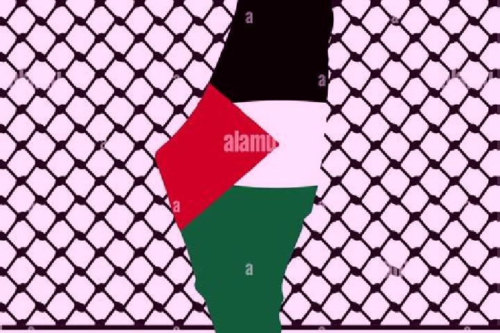 Ava, 34 — Escort in Ya bad, Palestine