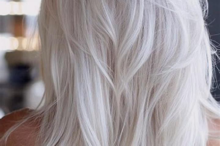 Ava, 35, a platinum blonde grey-eyed indian companion based in La Roche-en-Ardenne. Offering Erotic Massage, Domination, CIM, Tantra. Available for incall an...