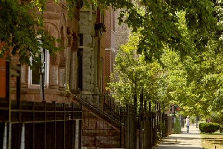 Ava, 35 — Escort in East Garfield Park, United States